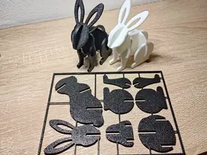 Rabbit Kit Card