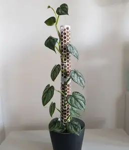 Rigid modular moss pole plants (sphagnum, coconut)