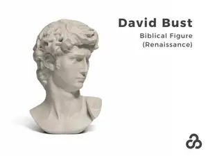 David Bust | Biblical Figure (Renaissance)