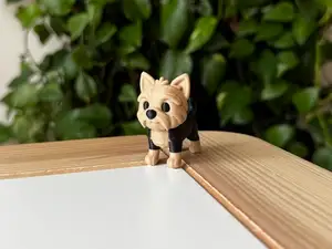 Yorkshire Terrier puppy