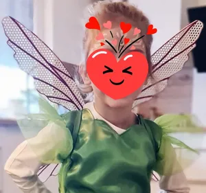 Elf Wings / Cosplay / Costume