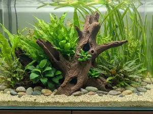 Aquarium Terrarium Driftwood Tree Stump Root