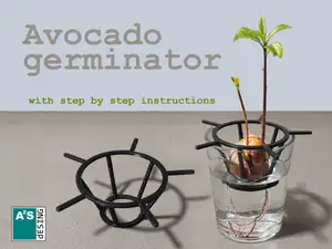 Avocado germinator