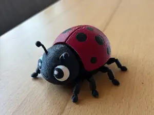 Marienkäfer