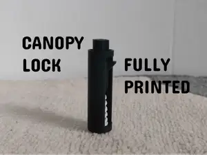Canopy Lock