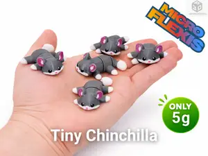 Tiny Chinchilla
