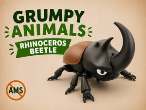 Grumpy Rhinoceros Beetle
