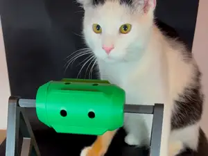 Cat and Dog toy