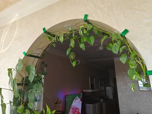 Supporto muro ad arco per piante