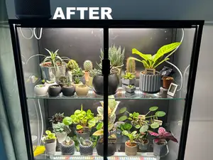 IKEA RUDSTA astragal - plant display case