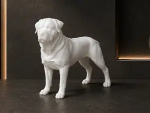Rottweiler - Dog - Animal - Decor