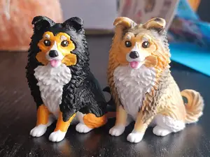 sheltie dog