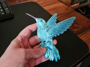 bird colobri in relief