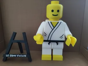 Brick Man Judo ( Karaté )