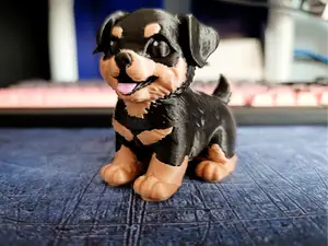 Rottweiler