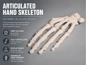 Articulated Anatomical Hand (from CT scan)