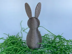 Hase