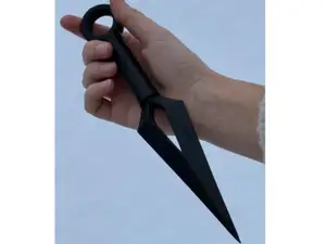 Shadow Ring Dagger