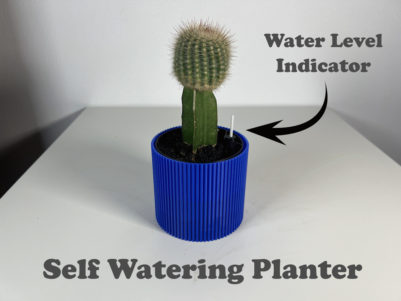 Self Watering Planter With Water Indicator