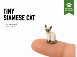 Tiny Siamese Cat - Mini Animals Series