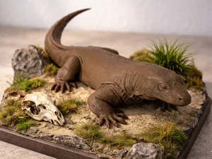 Komodowaran
