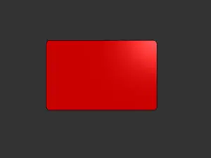 Blank Credit Card - Business Card - Wallet Card