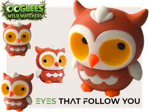 OOglees Búho | Wild Watchers