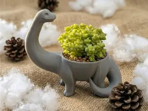 Dino Planter