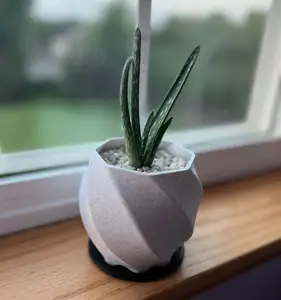 Fast Draining Pot with Catch Tray