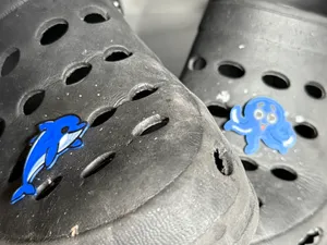 Pack de 2 adorables pulpo y delfin para Crocs
