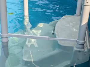 Pool surface robot stairs barrier
