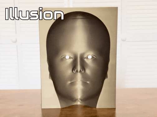 Block Head - Optical Illusion