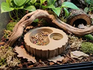 Tree Stump Reptile Terrarium Food & Water Bowl