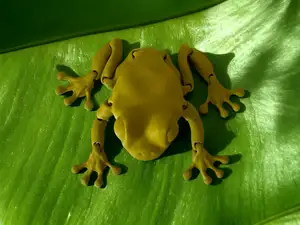 FLEXI FROG