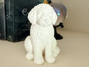 Bernedoodle Puppy – Pet Series