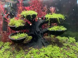 Aquarium Bonsai - der Baum zum bepflanzen