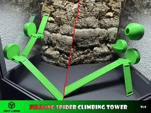 Jumping spider - climbing tower