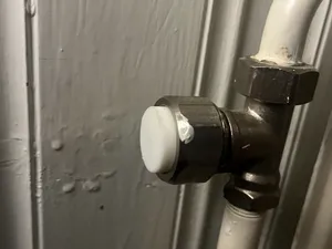 Radiator Plug / Cover