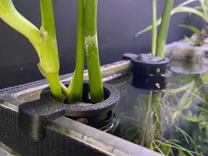 rotating aquarium planter