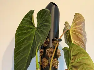 Modular Plant Support & Moss Pole - HexPole-XL