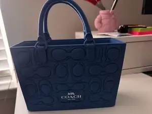 Coach Gift Bag/Box