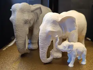 Elephant Baby