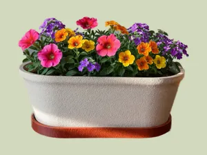 Modern Planter Pot with Drainage Tray