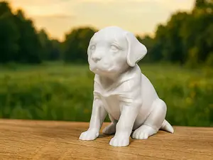 Sweet Cute dog/puppy
