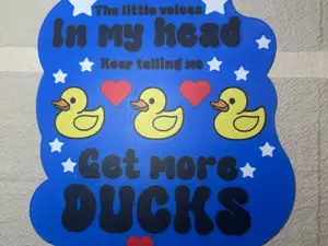 more ducks sign plate