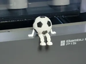 Articulated Soccer Buddy - 2 Color Soccer Ball 