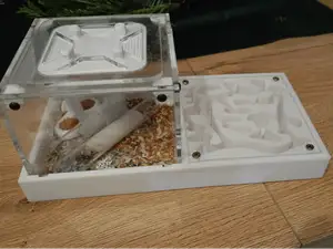 Formikarium, farma mrówek, Ants