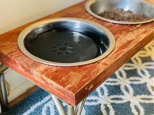 Dry Beard - Water Dish Insert (Customizable)