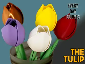The Tulip