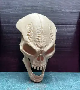 Extraterrestrial Alien Enigma Skull